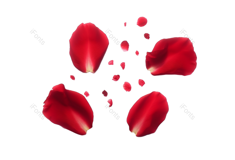 装饰图片,花瓣装饰元素,520PNG,玫瑰花免抠素材